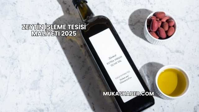 Zeytin İşleme Tesisi Maliyeti 2025