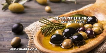 Zeytin Yetiştiriciliği Maliyeti 2025