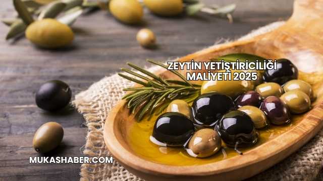 Zeytin Yetiştiriciliği Maliyeti 2025