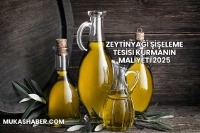 Zeytinyağı Şişeleme Tesisi Kurmanın Maliyeti 2025