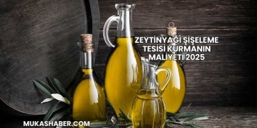 Zeytinyağı Şişeleme Tesisi Kurmanın Maliyeti 2025