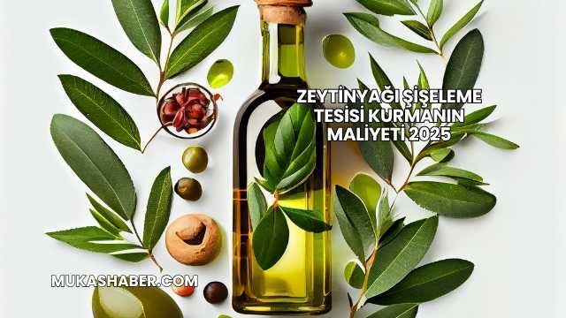 Zeytinyağı Şişeleme Tesisi Kurmanın Maliyeti 2025