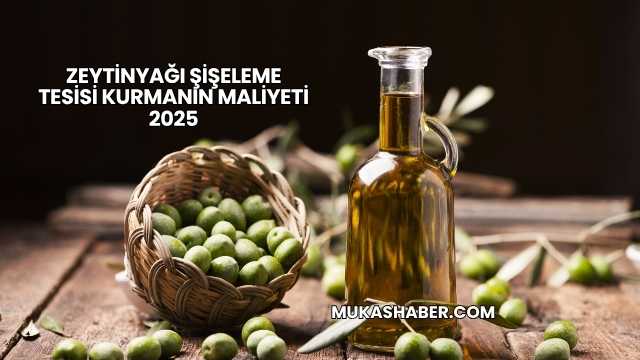 Zeytinyağı Şişeleme Tesisi Kurmanın Maliyeti 2025