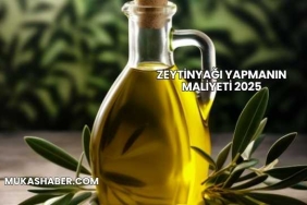Zeytinyağı Yapmanın Maliyeti 2025