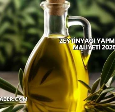 Zeytinyağı Yapmanın Maliyeti 2025