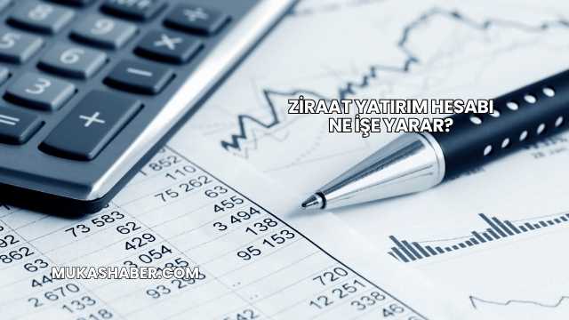 Ziraat Yatırım Hesabı Ne İşe Yarar?