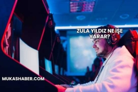 Zula Yıldız Ne İşe Yarar?