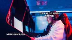 Zula Yıldız Ne İşe Yarar?