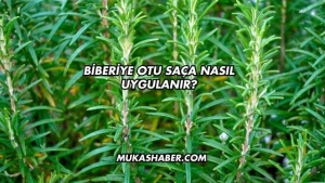 Biberiye Otu Saça Nasıl Uygulanır?