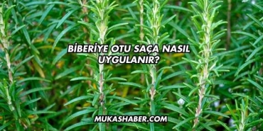 Biberiye Otu Saça Nasıl Uygulanır?