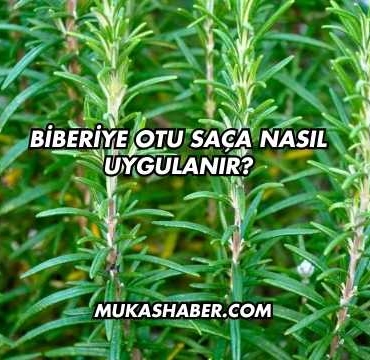 Biberiye Otu Saça Nasıl Uygulanır?