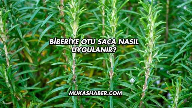 Biberiye Otu Saça Nasıl Uygulanır?