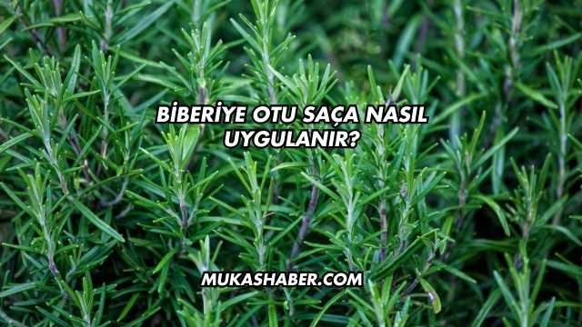 Biberiye Otu Saça Nasıl Uygulanır?