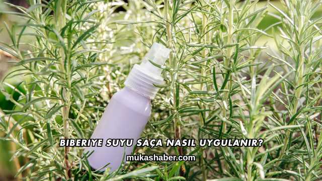 Biberiye Suyu Saça Nasıl Uygulanır?