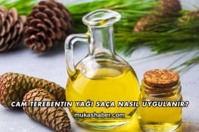 Cam Terebentin Yağı Saça Nasıl Uygulanır?
