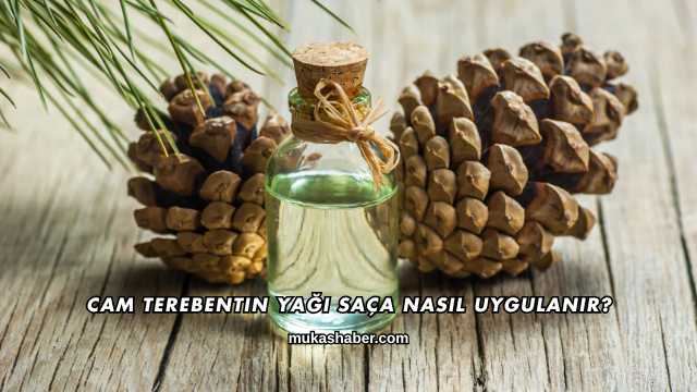 Cam Terebentin Yağı Saça Nasıl Uygulanır?