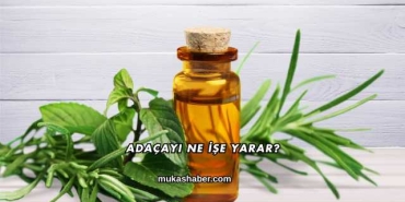 Adaçayı Ne İşe Yarar?