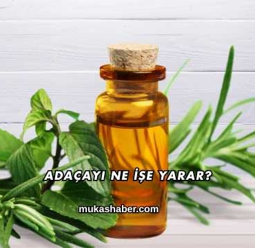 Adaçayı Ne İşe Yarar?