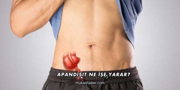 Apandisit Ne İşe Yarar