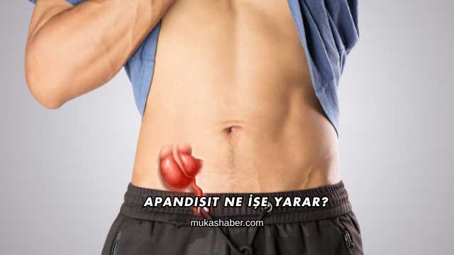 Apandisit Ne İşe Yarar