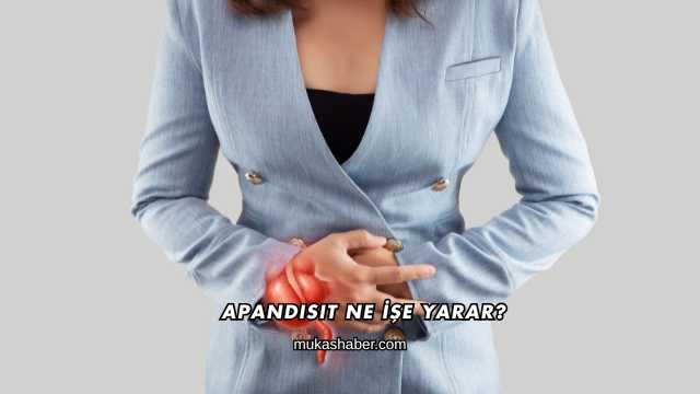 Apandisit Ne İşe Yarar