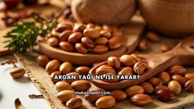 Argan Yağı Ne İşe Yarar?