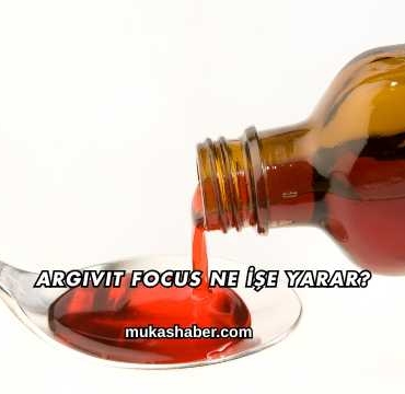Argivit Focus Ne İşe Yarar?