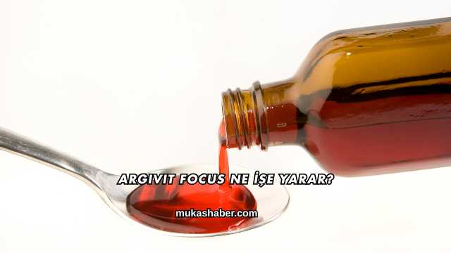 Argivit Focus Ne İşe Yarar?