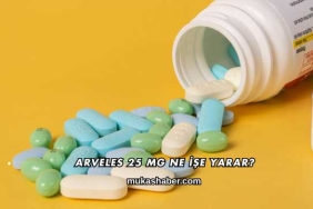 Arveles 25 Mg Ne İşe Yarar?
