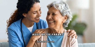 Asist Ne İşe Yarar?
