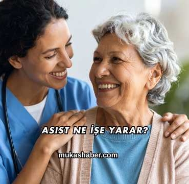 Asist Ne İşe Yarar?