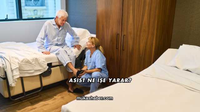 Asist Ne İşe Yarar?