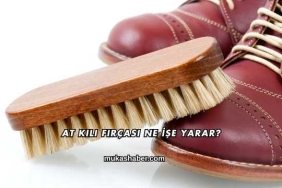 At Kılı Fırçası Ne İşe Yarar?