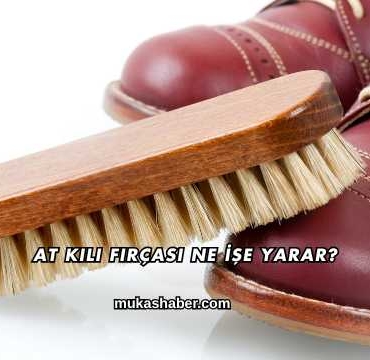 At Kılı Fırçası Ne İşe Yarar?