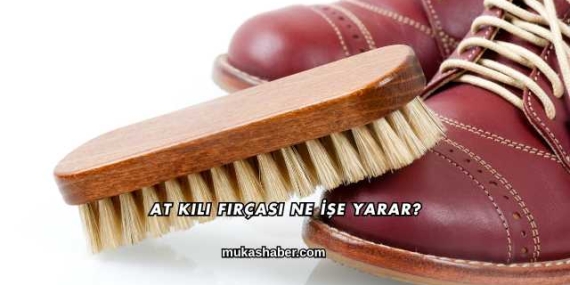 At Kılı Fırçası Ne İşe Yarar?