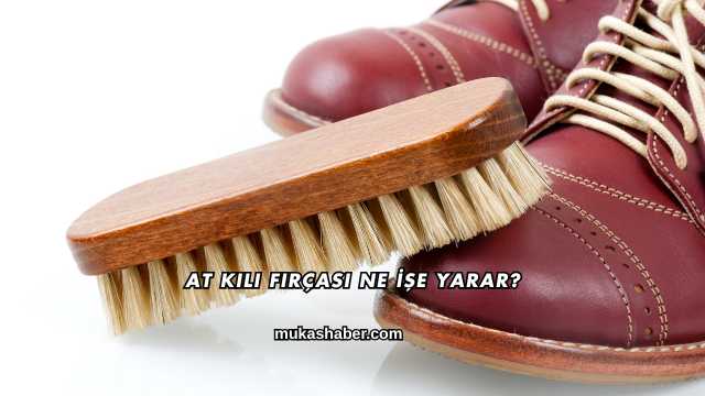 At Kılı Fırçası Ne İşe Yarar?