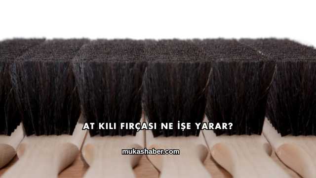 At Kılı Fırçası Ne İşe Yarar?