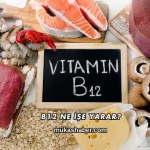 B12 Ne İşe Yarar?