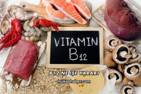 B12 Ne İşe Yarar?