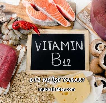 B12 Ne İşe Yarar?