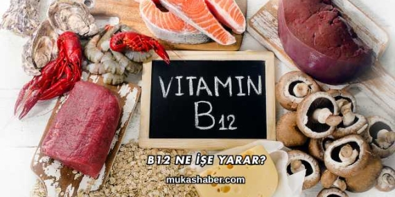 B12 Ne İşe Yarar?