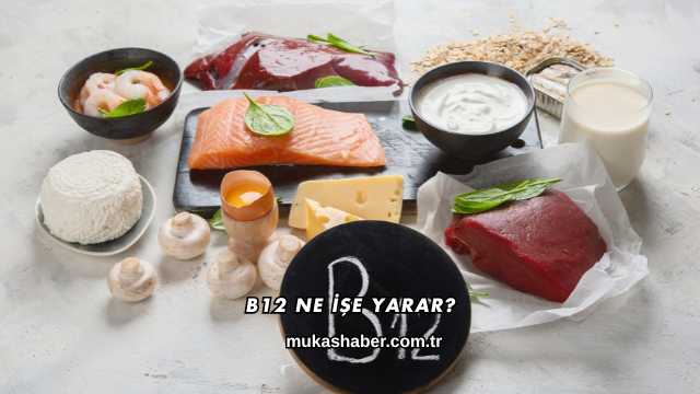 B12 Ne İşe Yarar?