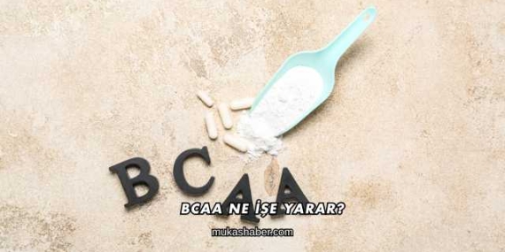 BCAA Ne İşe Yarar?