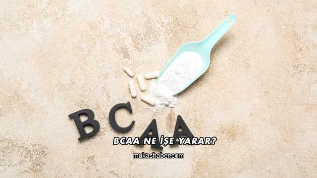 BCAA Ne İşe Yarar?