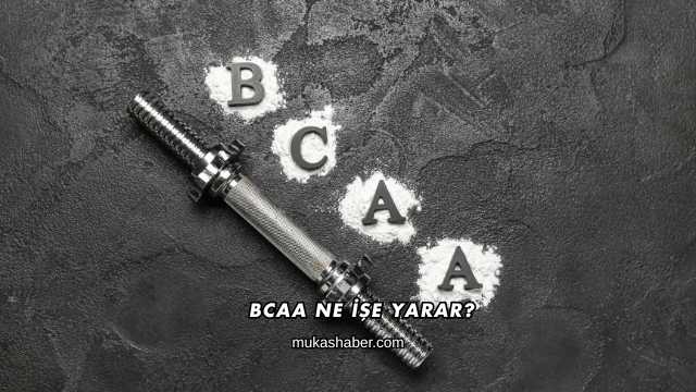 BCAA Ne İşe Yarar?