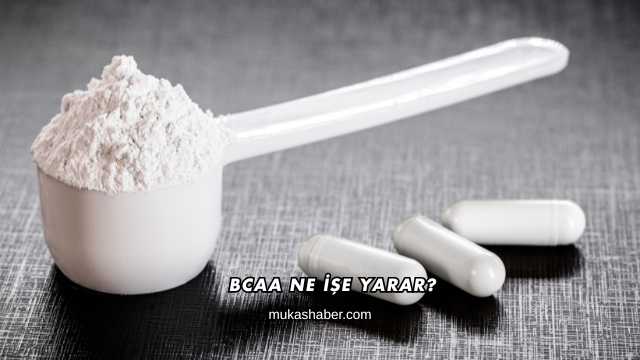 BCAA Ne İşe Yarar?