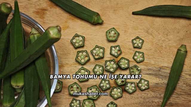 Bamya Tohumu Ne İşe Yarar?