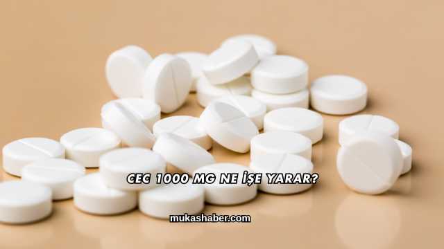 CEC 1000 Mg Ne İşe Yarar?