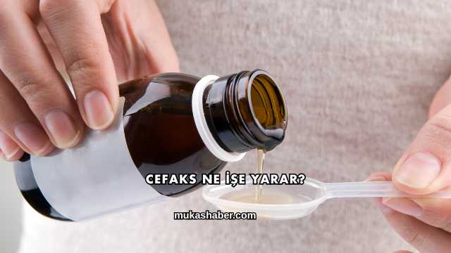 Cefaks Ne İşe Yarar?