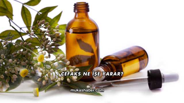 Cefaks Ne İşe Yarar?